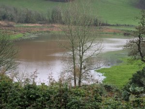 water meadows have flooded again
