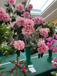 RHS Spring Flower Show
