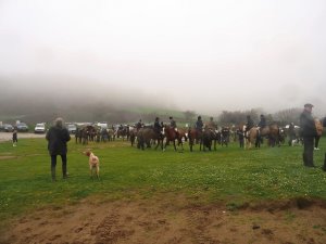 About 50 riders in the rain at the Fourburrow Hunt Meet
