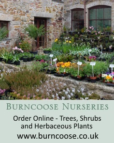 Burncoose Nurseries