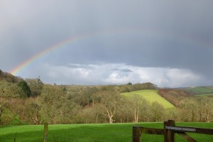 rainbow over Derrecks Wood