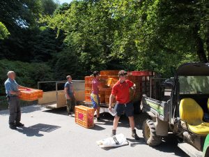 keepers are unloading crates of pheasant poults