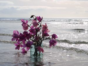 magnolias in the sea