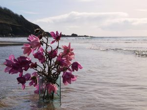 magnolias in the sea