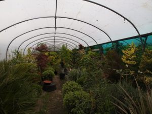 Show Tunnel May 2017