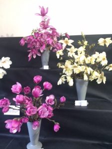Cornwall Garden Society flower show at Boconnoc