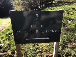 Isla Rose Plantation sign