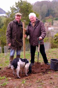 Roy Lancaster and Jaimie Parsons ceremonially plant Magnolia ‘Caerhays Splendour’