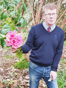 Camellia reticulata ‘John Hunt’