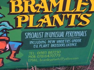 Bramley Plants