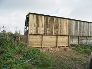 New cladding on the end of the old black shed
