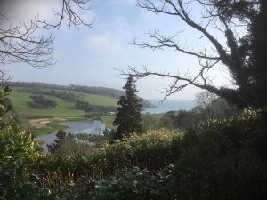 view of Porthluney Cove