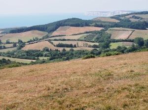 view from the top of Rowborough estate