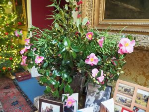 vase of camellias