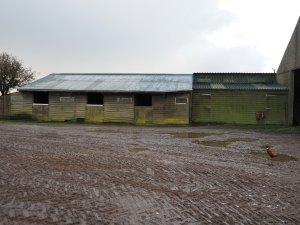 old stables