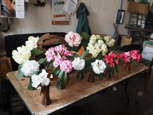 Preparation for the flower show at Rosemoor