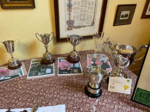 the two Caerhays CGS cups together