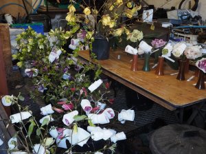 cut rhododendron and magnolias for the Rosemoor Show