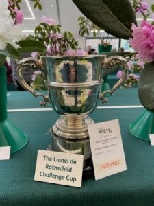 Rothschild Challenge Cup
