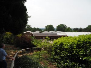 Arboretum at Batsford