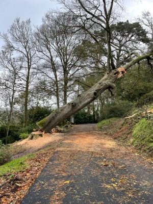 The clear up from Storm Ciaran