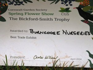 Burncoose wins The Bickford-Smith Trophy