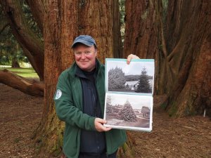 Alwyn with a picture from c.1850 of the Sequoiadendron plantation