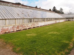 Greenhouses to be restored