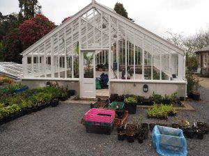 rebuilt greenhouses