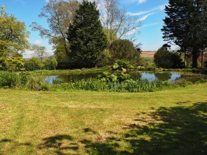 The pond at Ethy