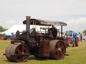 elderly tractors