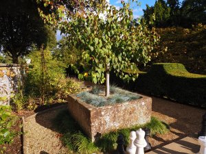 A huge planter