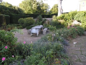 The David Austin rose garden