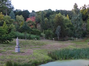 Our planting below the Hermits Walk