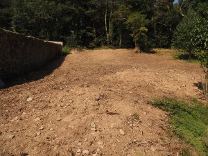 new clearing above the old dog kennels