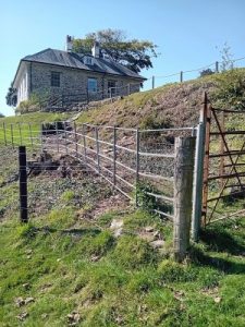 metal fencing at The Vean