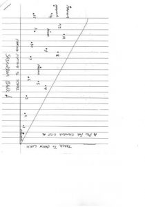 Camellia planting plan