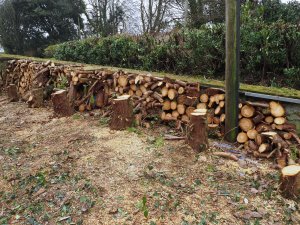 firewood