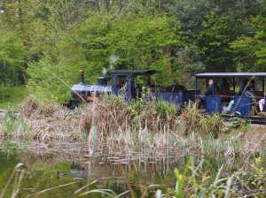 A trip on the 1½ mile model railway adorned with ‘critters’
