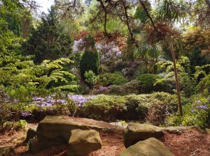 The Rockery