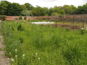 The walled garden