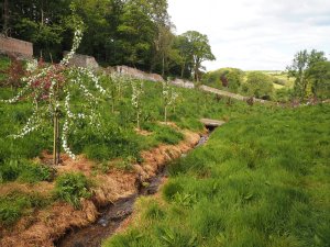 Views over the Old Kitchen Garden