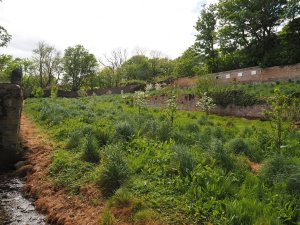 Views over the Old Kitchen Garden