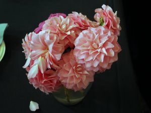 unnamed vase of late flowering camellia