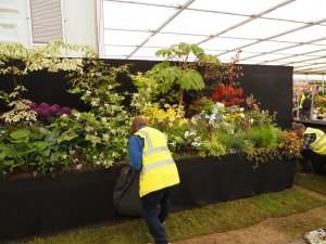 Some pictures of the now completed Burncoose Nurseries stand