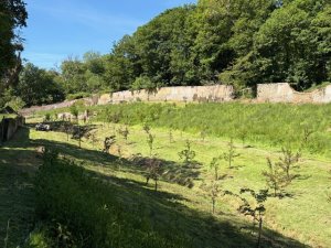 Grass cutting