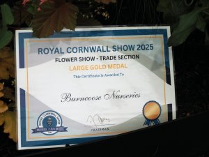 The Burncoose Nurseries stand at The Royal Cornwall Show