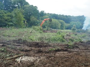 islands on Lake Patrick have been cleared of trees