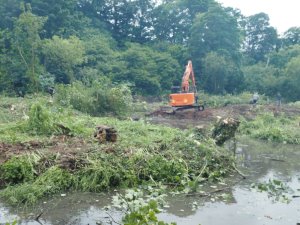 islands on Lake Patrick have been cleared of trees