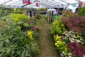 Master Grower stand